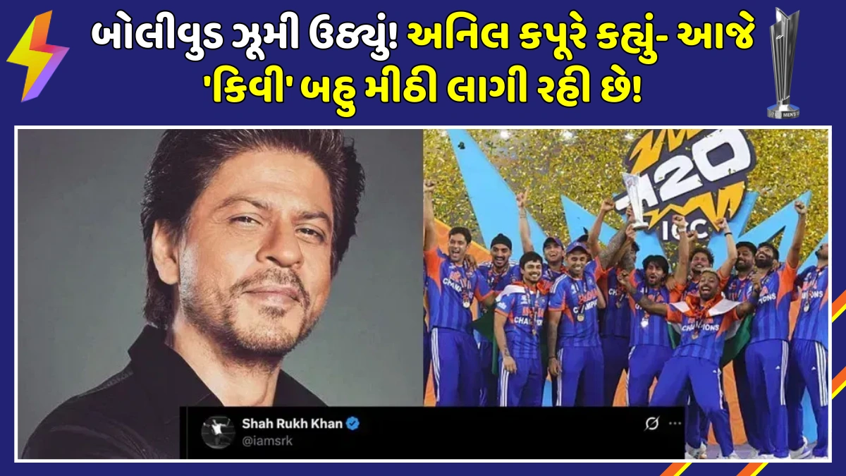 bollywood-reacts-india-t20-world-cup-win